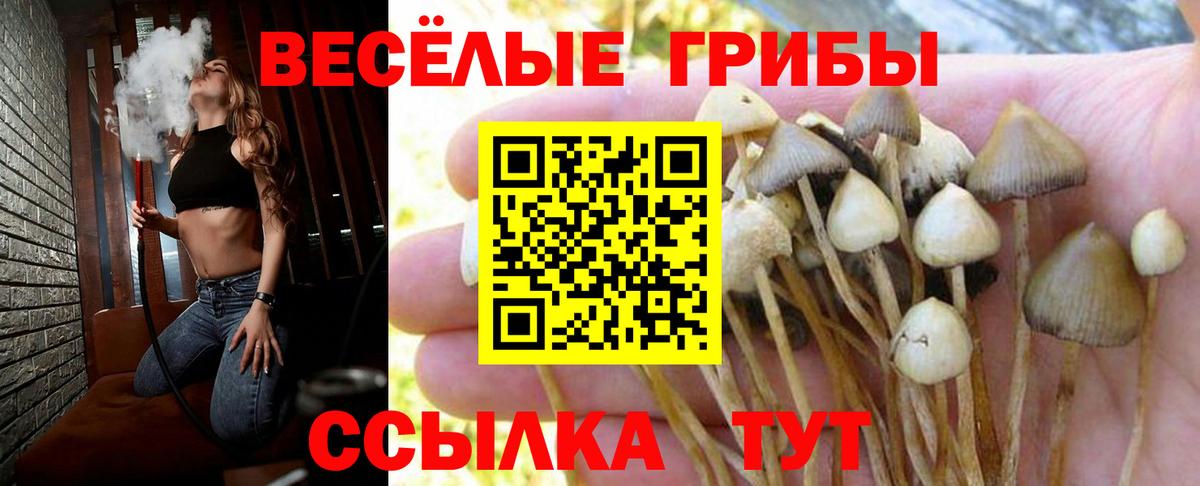 Дубна  Галлюциногенные грибы мухоморы  где найти   Вход с VPN 